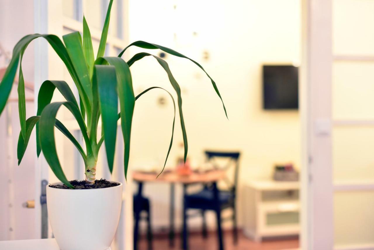 M4you Apartment